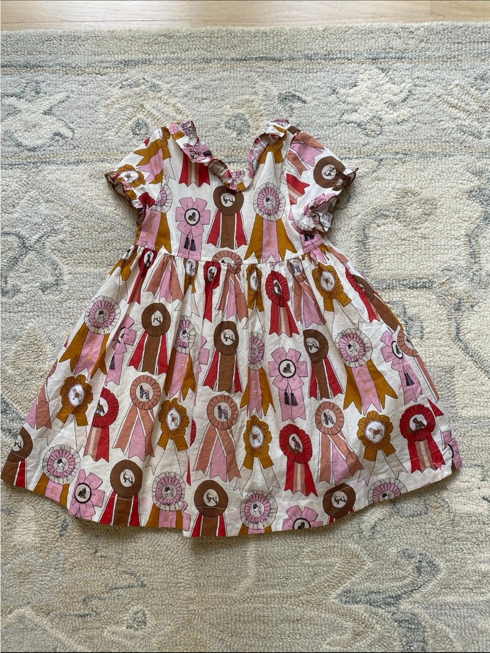 Pink Chicken Little Girl Floral Ribbon Dress in Soft Pink, Red & Brown